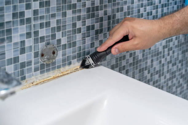 Best Residential Mold Remediation in Richfield, OH