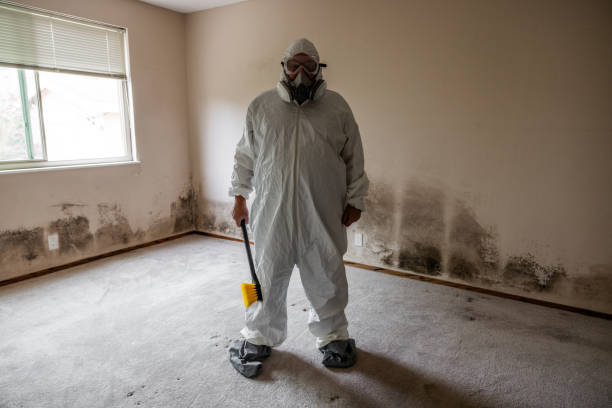 Best Attic Mold Remediation in Richfield, OH